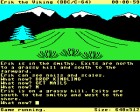 Erik the Viking/C-64
